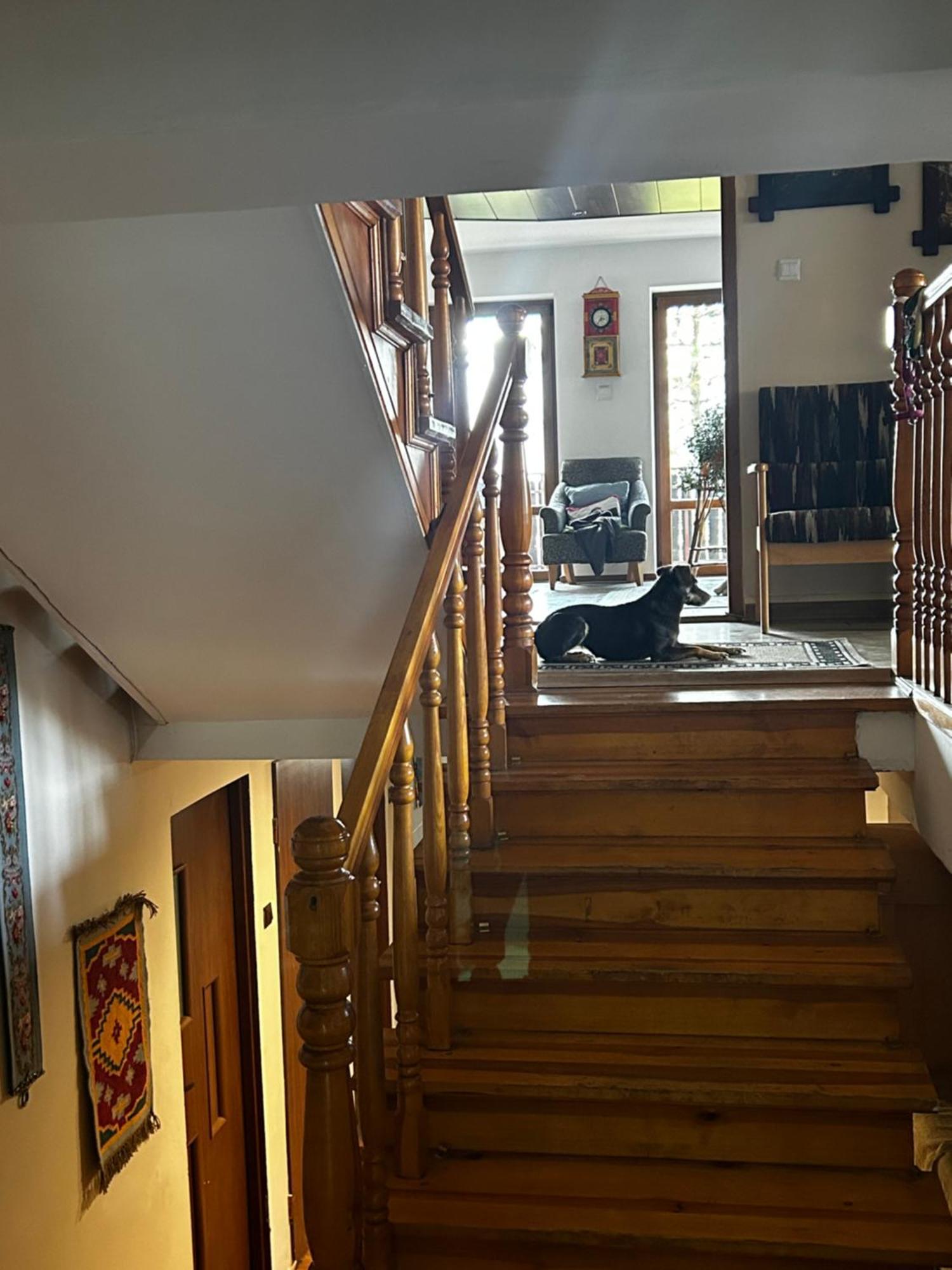 Willa Karolinka Stroza - Pet Friendly Myślenice Exteriör bild