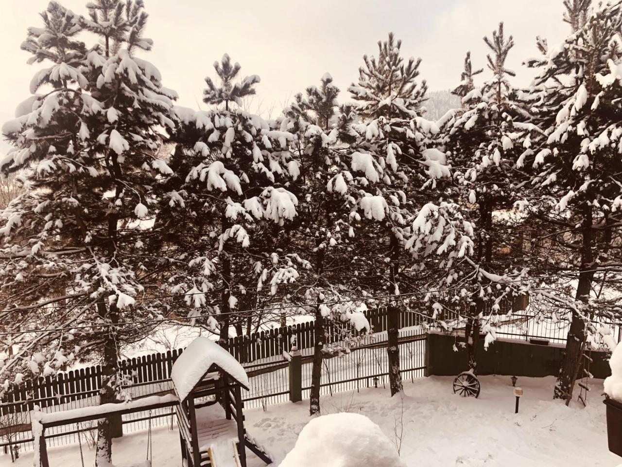 Willa Karolinka Stroza - Pet Friendly Myślenice Exteriör bild